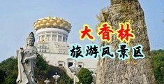 男人的丁丁插进女人的逼里视频中国浙江-绍兴大香林旅游风景区